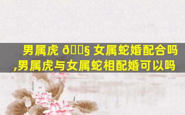 男属虎 🐧 女属蛇婚配合吗,男属虎与女属蛇相配婚可以吗